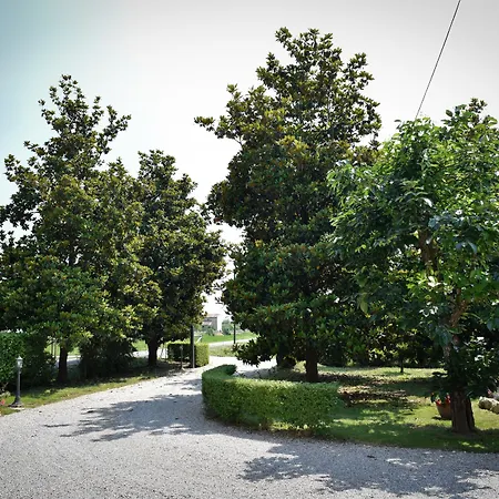 Kiwi Bed & Breakfast