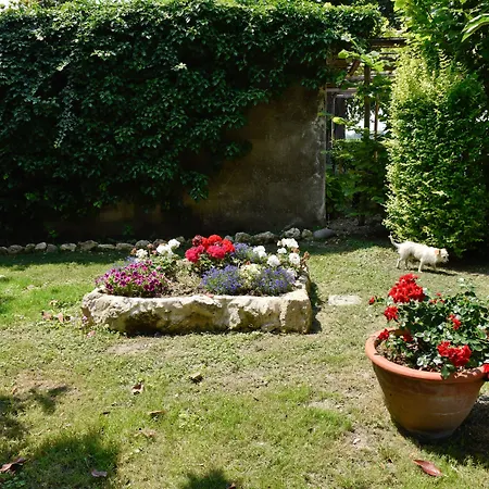 Kiwi Bed & Breakfast 3*