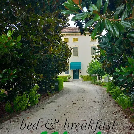 住宿加早餐酒店 Kiwi