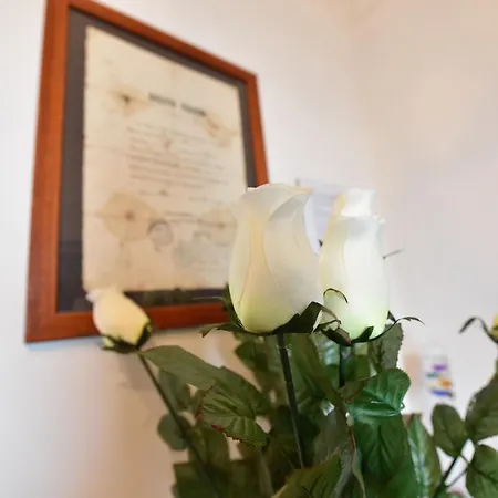 ベッド・アンド・ブレックファスト Kiwi 3*