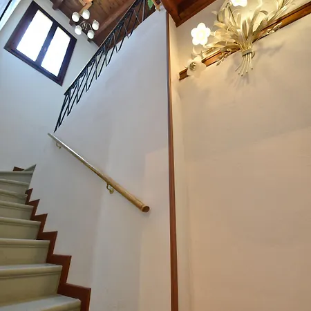 住宿加早餐酒店 Kiwi 3*