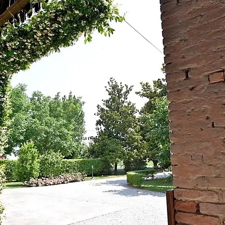 Kiwi 3* Agugliaro