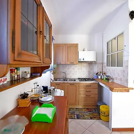فندق مبيت وإفطار Kiwi 3*