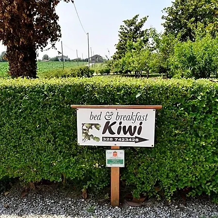 Kiwi Agugliaro