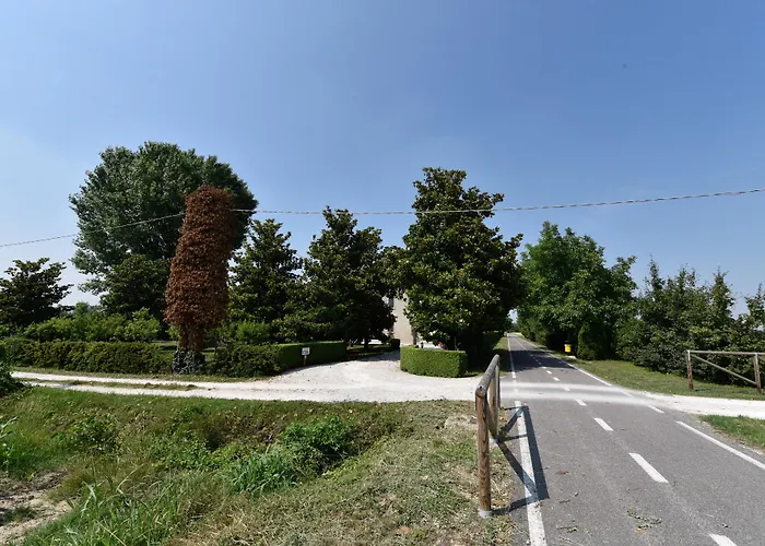 Bed & Breakfast Kiwi