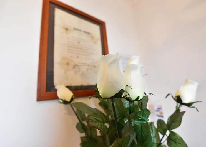 Bed & Breakfast Kiwi 3*