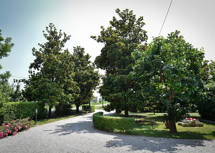 Kiwi Bed & Breakfast