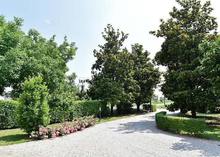 Kiwi 3* Agugliaro